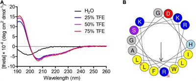 In vitro and in vivo Activity of Phibilin Against Candida albicans